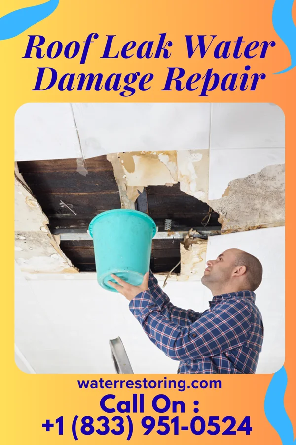 Roof Leak Water Damage Repair in Carrizo Springs, TX